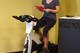 Leading a "Cycling Meeting" 